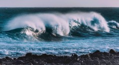 Power Generator That Mimics Seaweed Movement Developed for Harvesting Static Energy from Ocean Waves