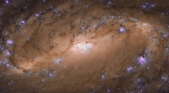 Hubble Spots Stunning Spiral Galaxy