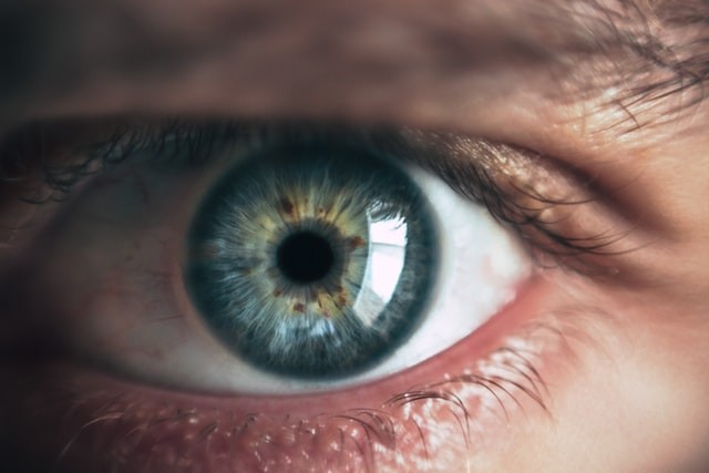 Science Times - Pupils are Man’s Calculator; New Study Shows How the Human Eyes Can Detect Numbers