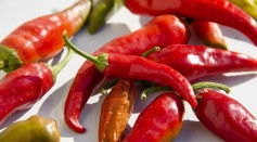 Science Times - New Mexico Chile Cultivated, Grown on ISS Harvested for the First Time; NASA Says It's the Longest Plant Experiment in Space