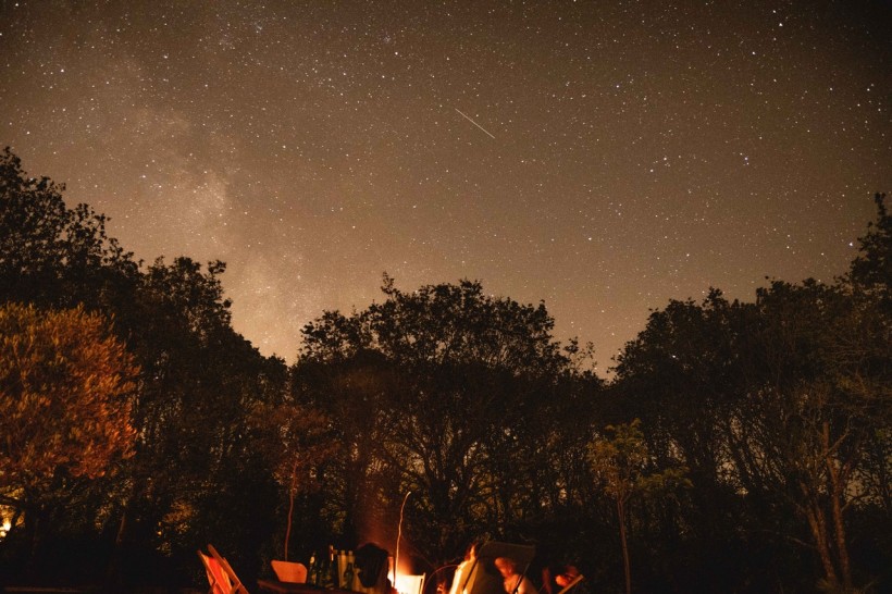 Year-End Sky Gazing: How to Get the Best Viewing Experience and Host a Watch Party During Meteor Showers