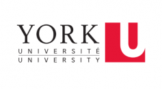 York University 