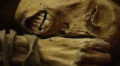 Peruvian mummified male