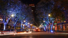  City Lights Confuse Urban Trees: Study Shows Climate Change and Daylight Extension Alter Growing Patterns of Plants