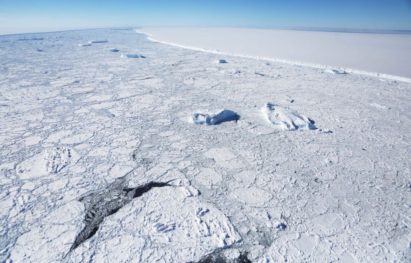 Science Times - Total Darkness, Thriving Ecosystem Beneath Antarctic Ice Shelf Found; New Study Shows They Have Existed for 6,000 Years