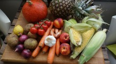  Melanoma Cancer Patients Who Have High Fiber Diet Responds Better to Immunotherapy