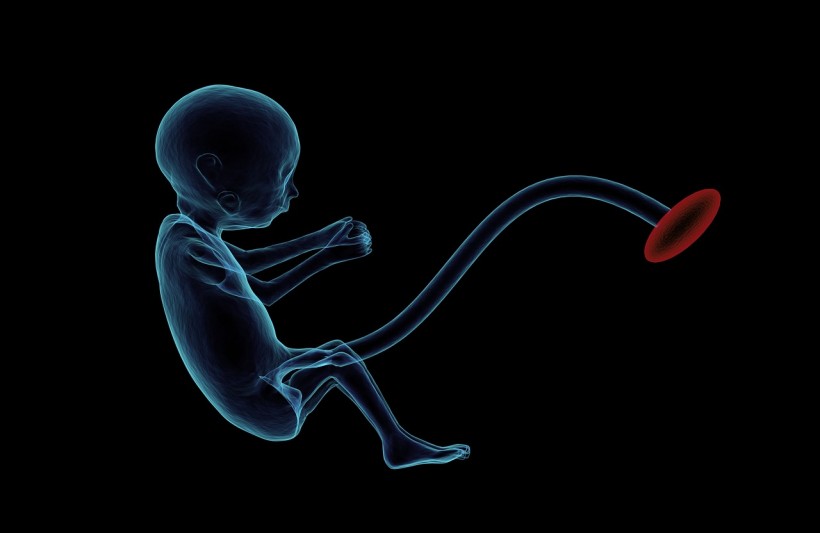 Science Times - ‘Tug-of-War’ Between Genes: Scientists Reveal the Reasons a Fetus Struggles to Get Nutrients It Needs, Grows Poorly Inside Its Mother’s Womb