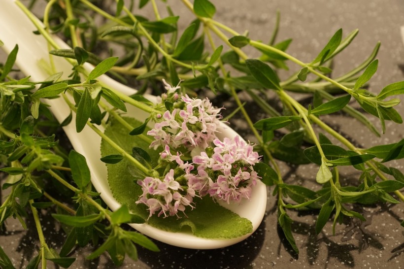  Breakthrough Cancer Treatment Points to Common Herbs in Suppressing Tumor Growth