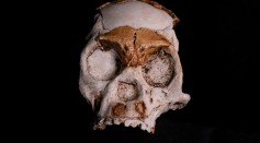 Science Times - Omo Fossils First Discovered in 1967 Dated in New Study; Researchers Say They Are Thousands of Years Older