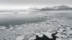 Science Times - Icefish Colony Found in Antarctica's Weddell Sea; The World's Largest with 60 Million of the Said Species