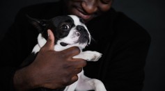 Science Times - Men Using Photos of Children, Dogs, Other Pets in Their Profile Found to be More Interested in Long-Term Relationships 