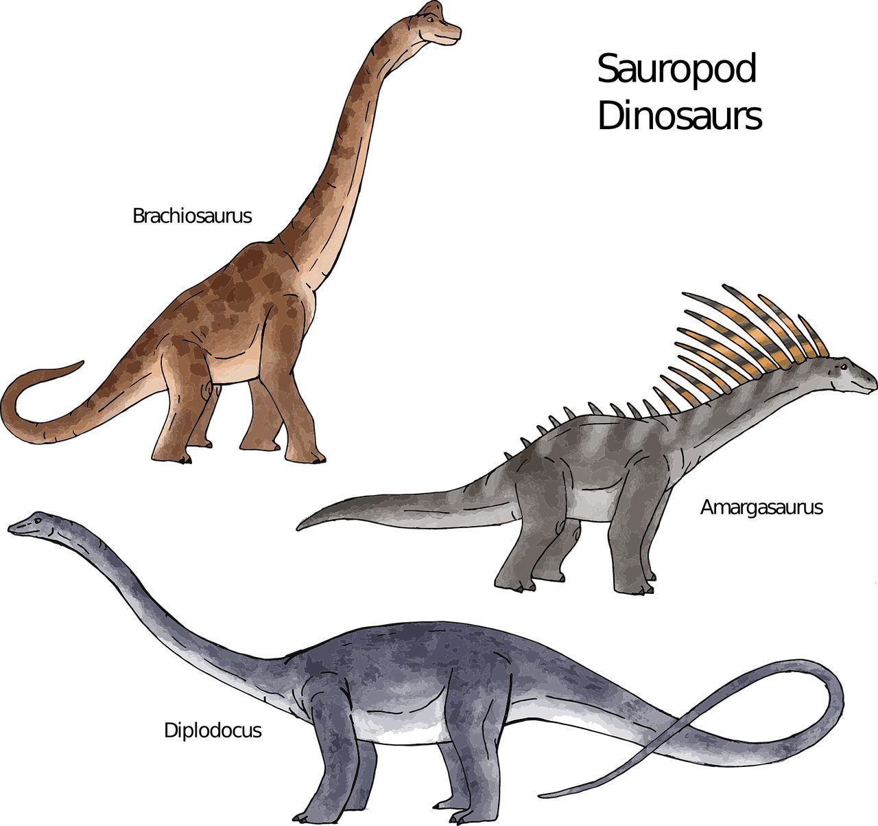 Ancestors of Sauropod Dinosaurs Were Bipedal, Likely Quick to Move 205  Million Years Ago | Science Times