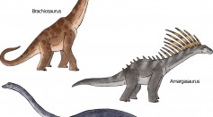  Ancestors of Sauropod Dinosaurs Were Bipedal and Were Likely Quick to Move 205 Million Years Ago