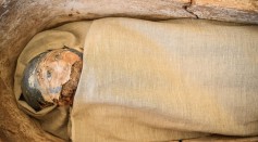Science Times - Mummified Fetus Discovered: Scientists Say Discovery Stayed, Started to ‘Pickle’ Within the Abdomen of Its Ancient Egyptian Mother