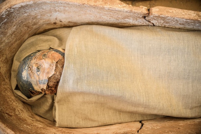 Science Times - Mummified Fetus Discovered: Scientists Say Discovery Stayed, Started to ‘Pickle’ Within the Abdomen of Its Ancient Egyptian Mother