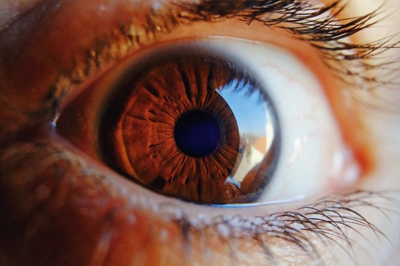  Changes in Blood Vessels in the Retina Linked to Risk of Heart Disease, Study Suggests
