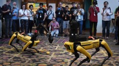 Science Times - Headless Robot Dogs to Help Secure US-Mexico Border; DHS Tests 100-Pound, 4-Legged Machines to Spot Illegal Activity