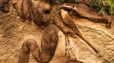  Last Meal: Dinosaur Remains Found Inside A 95-Million-Year-Old Crocodile Fossil
