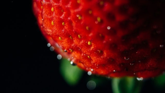 Science Times - Guinness World Records Confirms ‘Chunky Boi’ as the World’s Heaviest Strawberry’; Fruit Weighs 289 Grams, As Heavy as an Adult Human Heart