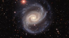 Spiral galaxy NGC 1566