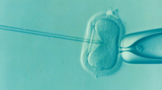  IVF Babies 26% More Likely to be Born Prematurely as Mothers Have Increased Risk of Pregnancy Complications