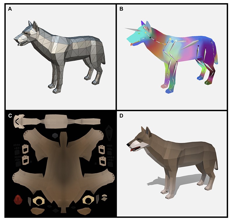 Stages in the development of a low poly dire wolf model