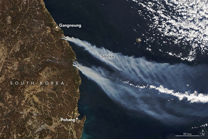 Wildfires Char South Korea