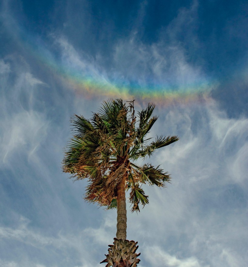  How Do A Smiling Rainbow Form? NASA Shares A Photo of A 'Circumzenithal Arc' Hovering Above A Palm Tree