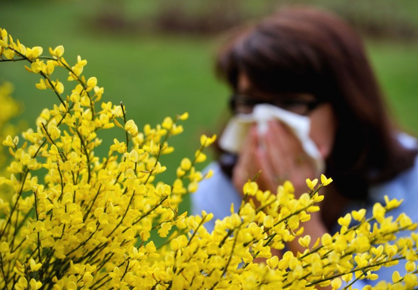 Expect Longer, More Intense Pollen Allergy Seasons; Study Reveals Hotter Temperatures Resulting from Climate Change
