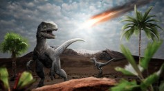  Dinosaurs Went Extinct Due to Sulfur Gases and Climate Cooling After the Asteroid Impact, New Research Suggests