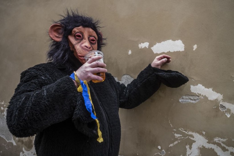Monkeys Found to Consume Alcohol; Hints Human Passion for Booze