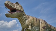  Why Did T. Rex Have Small Arms? Shorter Forelimbs May Have Saved Them During Feeding Frenzies