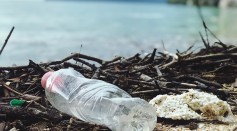 Drinking from Plastic Bottles Could Make Us Ingest Nearly 100,000 Micro and Nanoplastics Every Year