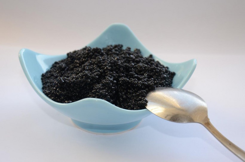  Scientists Have Grown 'Clean' Caviar in Just 40 Days! Hailing It As the First Lab-Grown Variety