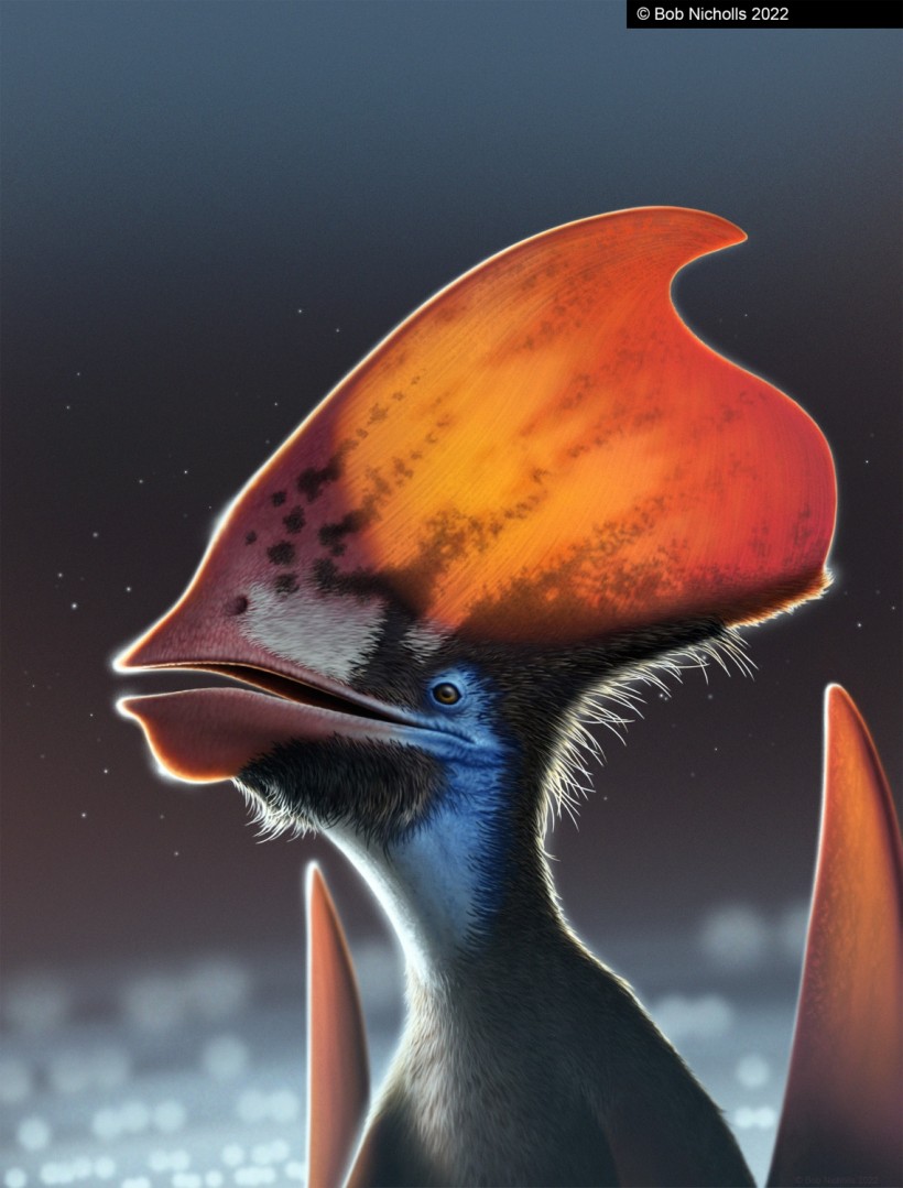 Flying Dinosaur Pterosaurs Confirmed with Feathers, Strands Full of Colors