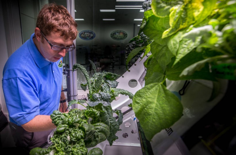 Growing Plants in Space