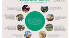 Australian Wildlife Conservancy (AWC) 