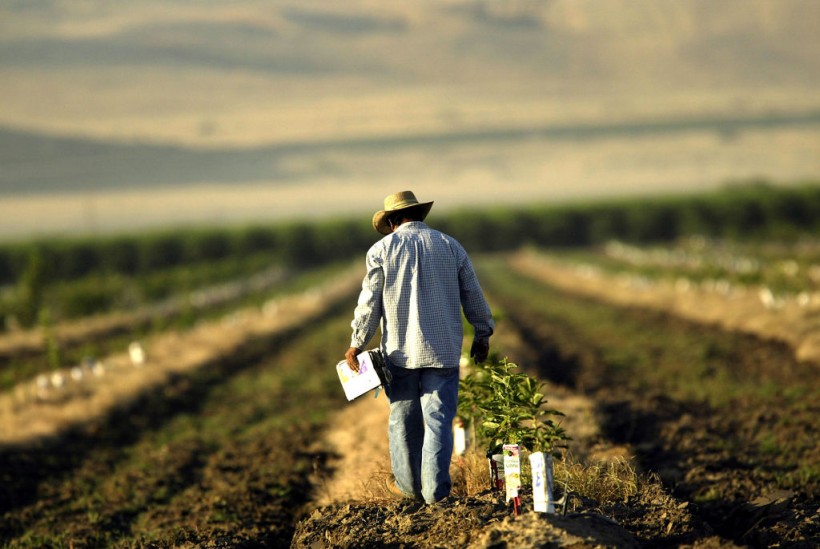 Bread and Oil: California's Central Valley