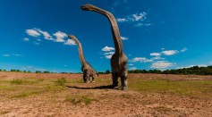  Absence of Large Herbivores After Dinosaur Extinction Changed Plant Evolution That is Still Seen Today