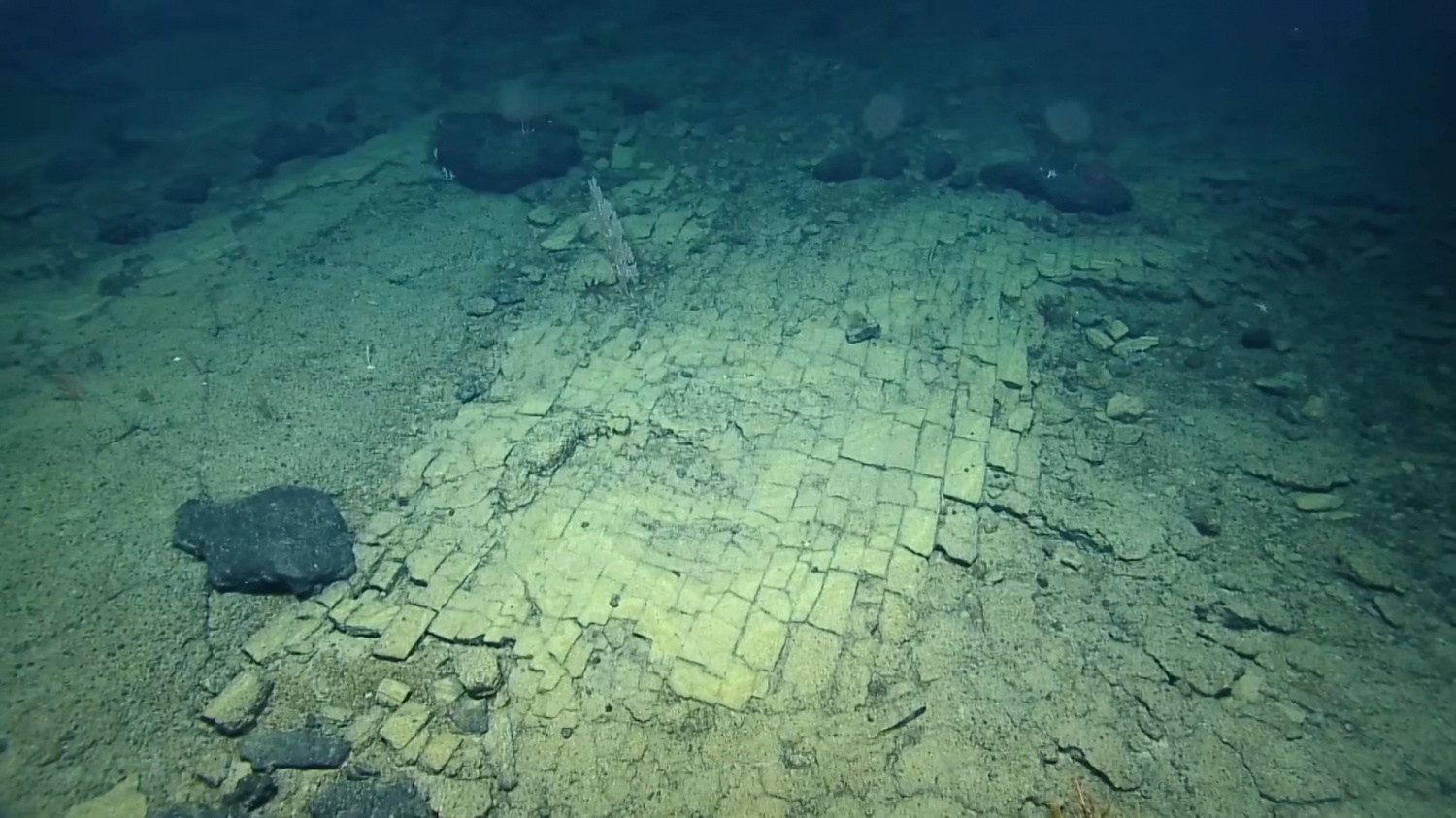 Yellow Brick Road Discovered In Pacific Ocean During First-Ever