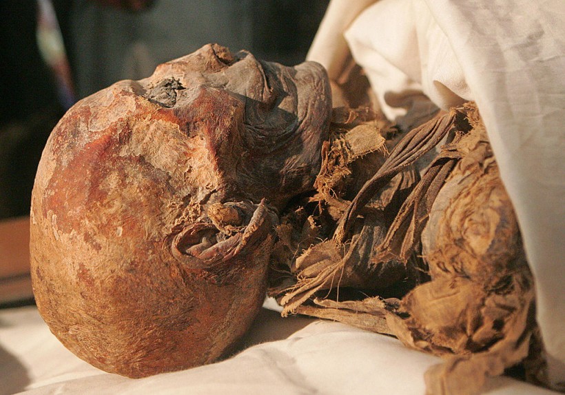 CORRECTING BYLINE The mummified remains...