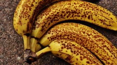  Banana Spots Could Help Mitigate Food Waste, Scientific Models Reveal