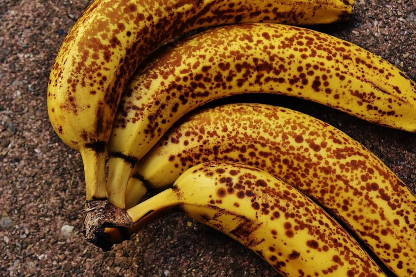  Banana Spots Could Help Mitigate Food Waste, Scientific Models Reveal