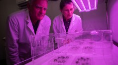  Scientists Have Grown Plants in Lunar Soil From Apollo Mission Samples For the First Time