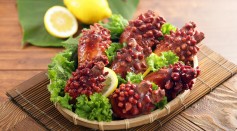  Eating Sea Squirts Reverse Signs of Aging, Stop Cognitive Decline