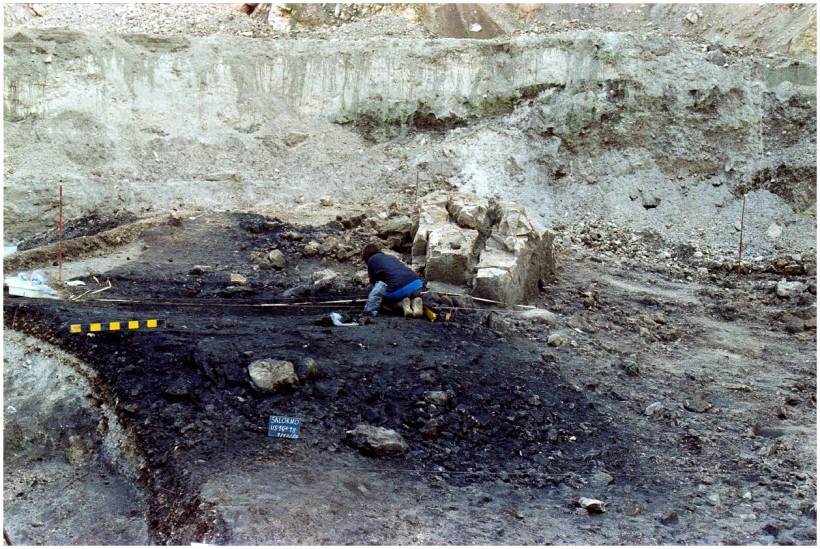 Salorno—Dos de la Forca (Adige Valley, Northern Italy): A unique cremation site of the Late Bronze Age