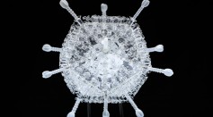 Luke Jerram Presents Glass Vaccine Installation