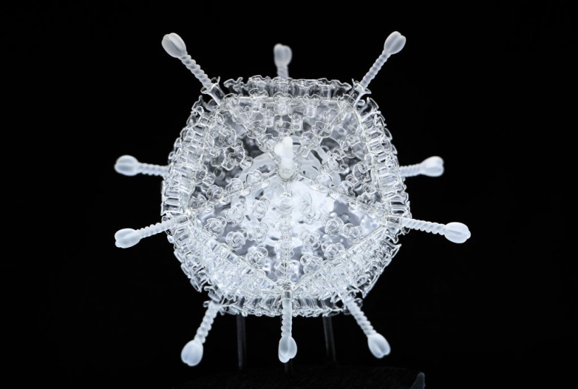 Luke Jerram Presents Glass Vaccine Installation