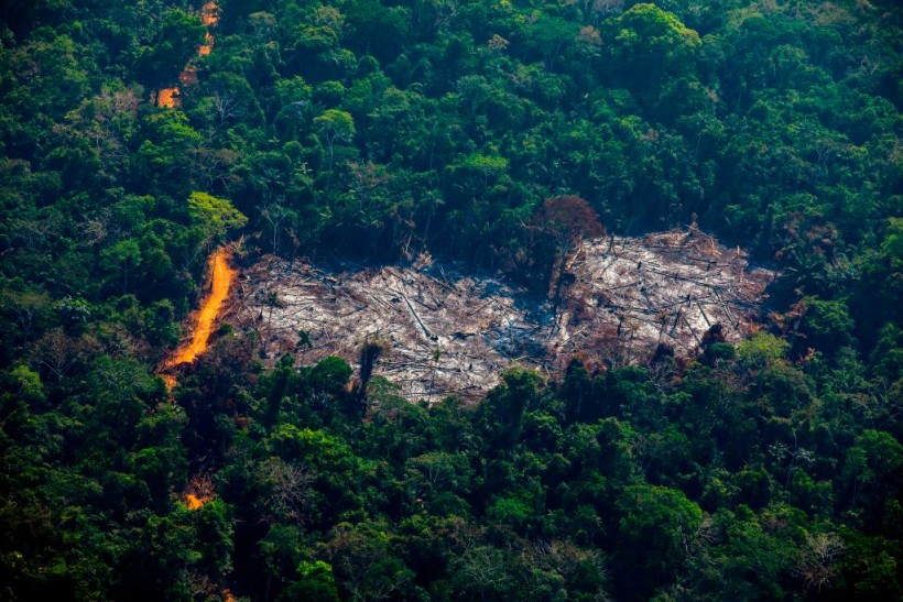 TOPSHOT-BRAZIL-DEFORESTATION-AMAZON