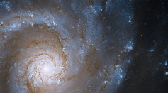 Hubble Looks at a Face-On Grand Spiral